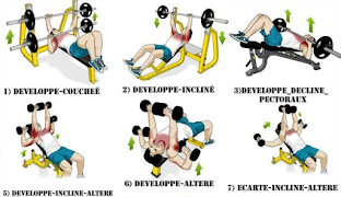 Chest exercises 스크린샷 4
