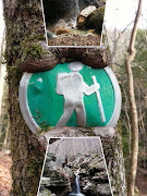 Perspective ảnh chụp màn hình 2