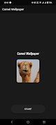 Camel Wallpaper screenshot 1