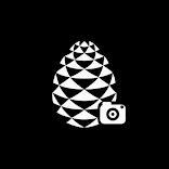 Mago Director