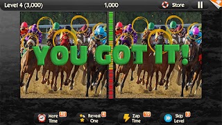 5 Schermata What's the Difference?