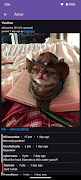 Lemmy Offline Reader screenshot 1
