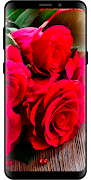 10000 Nature Wallpapers screenshot 6