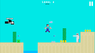 Noob vs Hacker poster