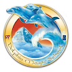 Dolphin Magic School icon