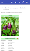 Vegetables screenshot 4