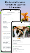 Mushroom identifier screenshot 5