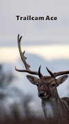 Poster Trailcam Ace