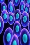 Biology poster