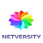 Netversity icon