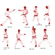 Karate Learning Gallery screenshot 3