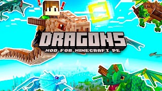 RLCraft Dragons Mod Minecraft captura de pantalla 7