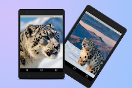 Snow Leopard HD Wallpapers تصوير الشاشة 7
