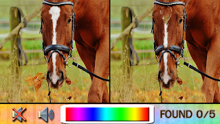 Find Difference horse ภาพหน้าจอ 1
