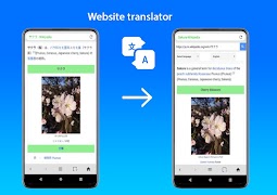 Browser ภาพหน้าจอ 1