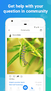 INSECT IDENTIFIER ảnh chụp màn hình 2