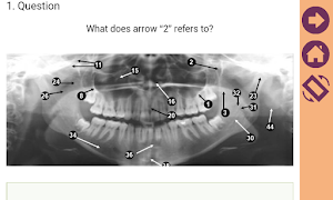 برنامه‌نما Dentora عکس از صفحه