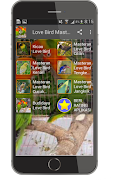 LoveBird Masteran poster