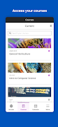Blackboard скриншот 1