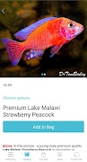 AquariumFish.net captura de pantalla 6