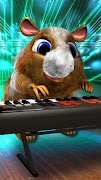 Hamster Talking. gönderen