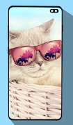 Cute Cat Wallpapers screenshot 3