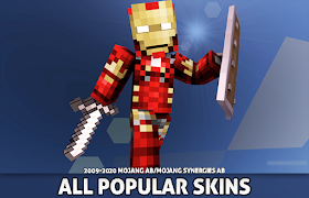 Skins for Minecraft plakat