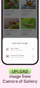 Insect ID: Bug Identifier AI screenshot 5