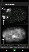 Genetics screenshot 5