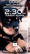 Dogs Wallpapers poster