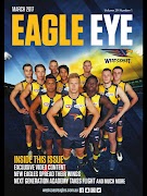 Eagle Eye скриншот 4