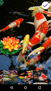 Koi Fish Lock Screen screenshot 4