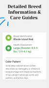 Chicken id Chicken identifier screenshot 2