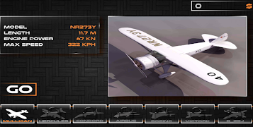 Flight Airplane 截图 4