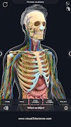 Human Anatomy captura de pantalla 5