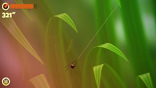 Spider Trouble ภาพหน้าจอ 3