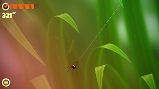 Spider Trouble capture d'écran 3
