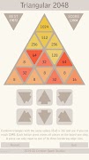 Triangular 2048 Pro ảnh chụp màn hình 7
