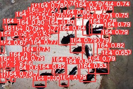 MyEntomologist скриншот 5