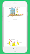 A level biology notes screenshot 6