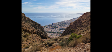 File Manager Pro 스크린샷 2