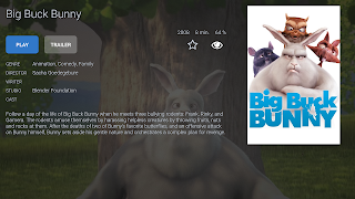 X3M Player screenshot 5