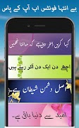 Urdu Post Maker پوسٹر
