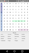Word Search Master screenshot 3