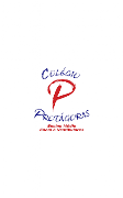 Protagoras 截图 1