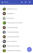 Medicinal herbs screenshot 5