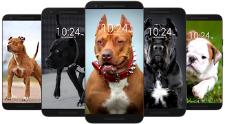 Pitbull Wallpaper HD screenshot 1