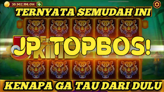 برنامه‌نما Higgs Domino X8 Guide عکس از صفحه