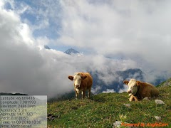 برنامه‌نما AngleCam Lite - Angular Camera عکس از صفحه
