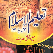 Taleem ul islam اسکرین شاٹ 5